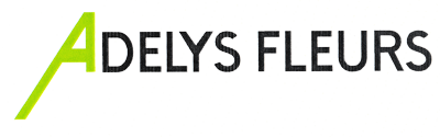 Adelys Fleurs