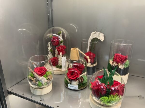 Roses stabilisées – Image 2