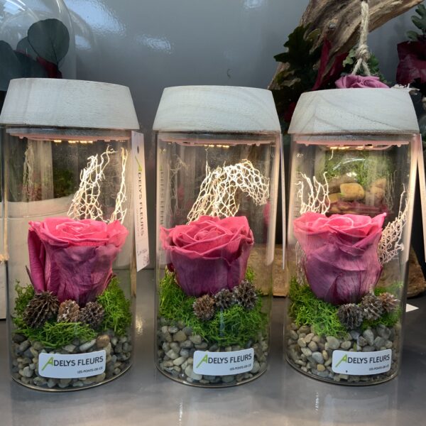 Roses stabilisees – Image 2