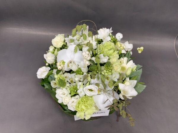 Rond plat blanc – Image 2