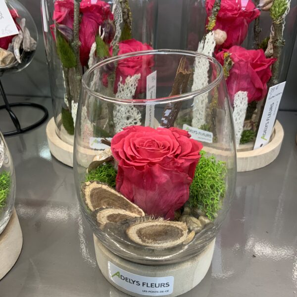Roses stabilisées – Image 2