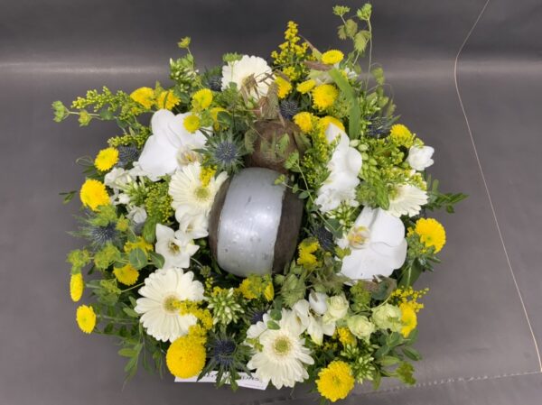 Rond plat – Image 3