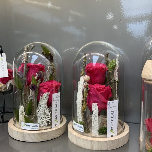 Roses stabilisees