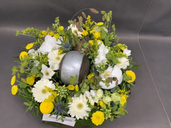 Rond plat – Image 2