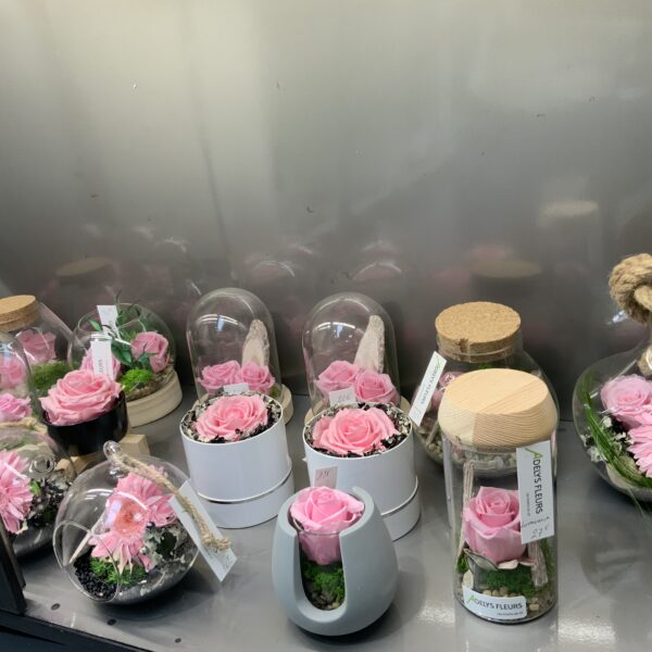 Roses stabilisées