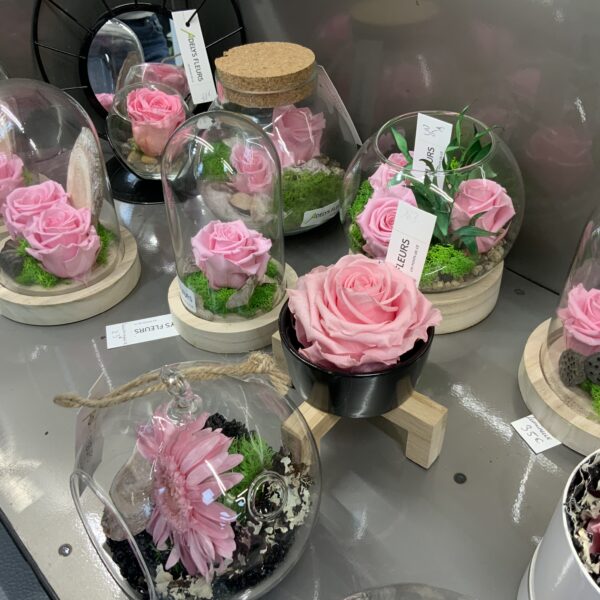 Roses stabilisées – Image 2
