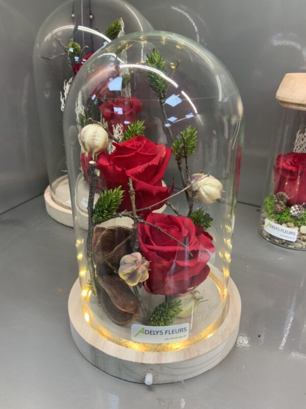 Roses sublimees