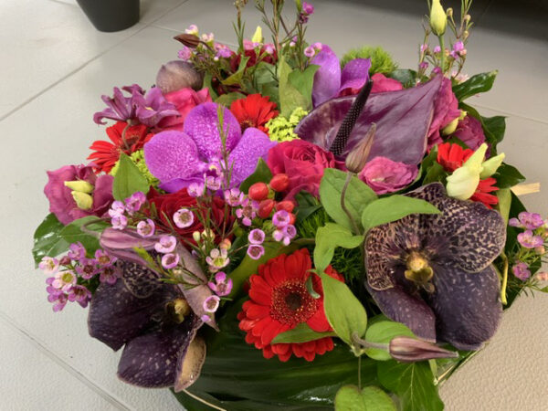 Rond plat rouge et rose – Image 3