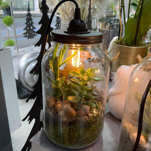 Terrarium lampe